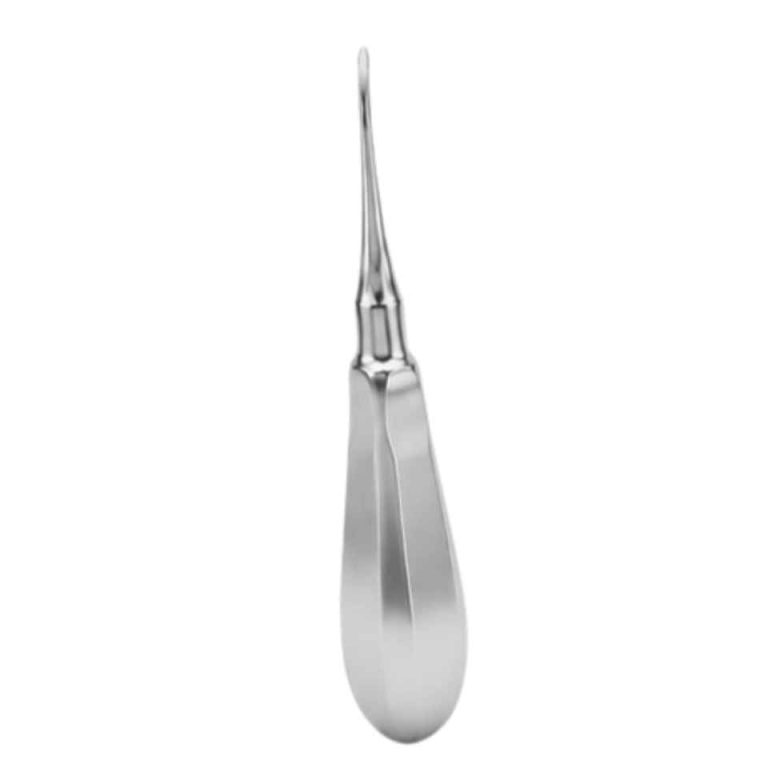 Professional Curved Root Elevator 150 mm Dental Tooth Extraction Elevator German Stainless Steel Oral Surgery Instrument