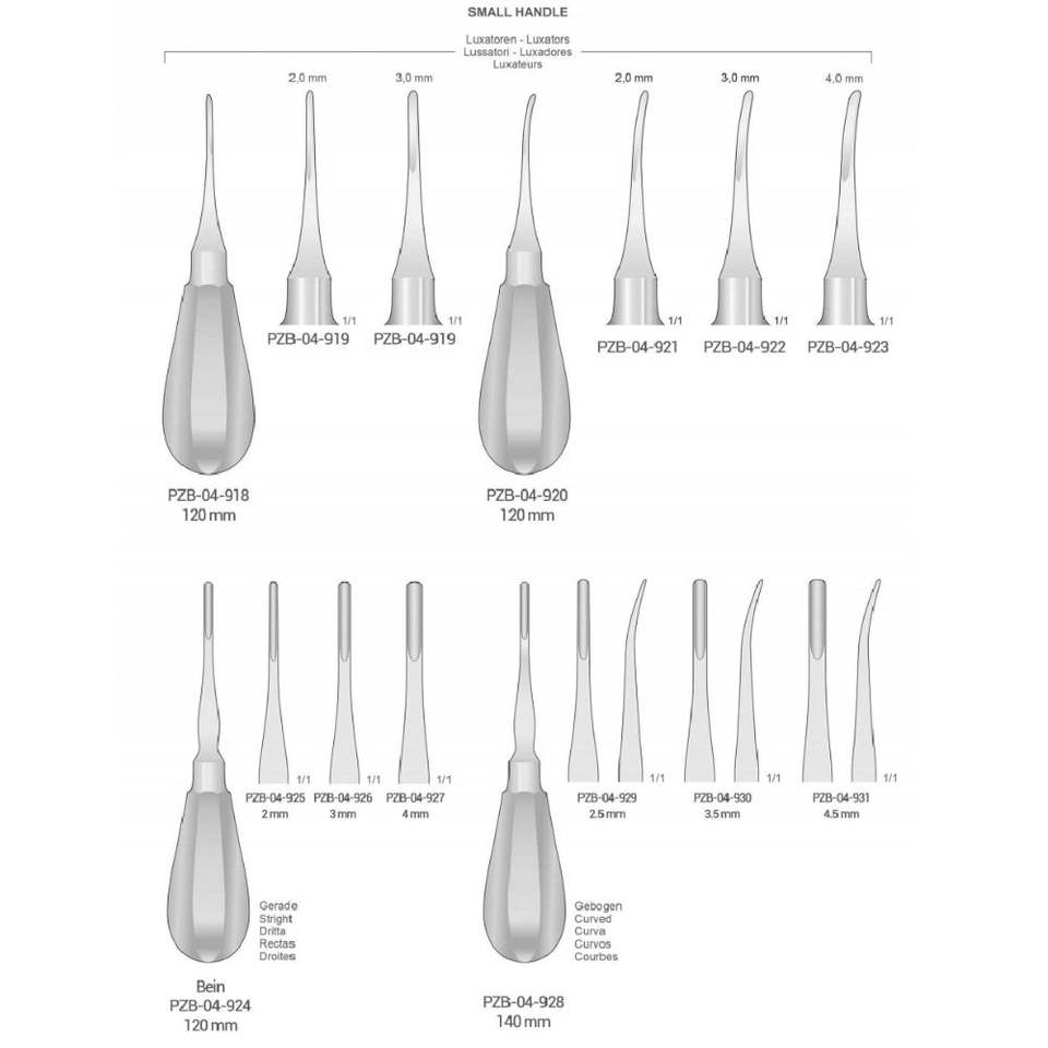 Professional Straight Root Elevator 2.0 mm Dental Tooth Extraction Elevator Stainless Steel Oral Surgery Instrument - Image 6